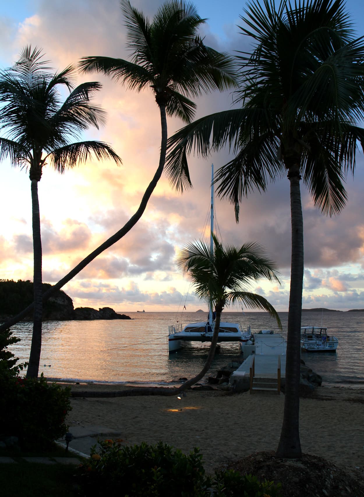 Sunrise through coconut palms at Bolongo Bay, St. Thomas, with a catamaran tied to the dock.