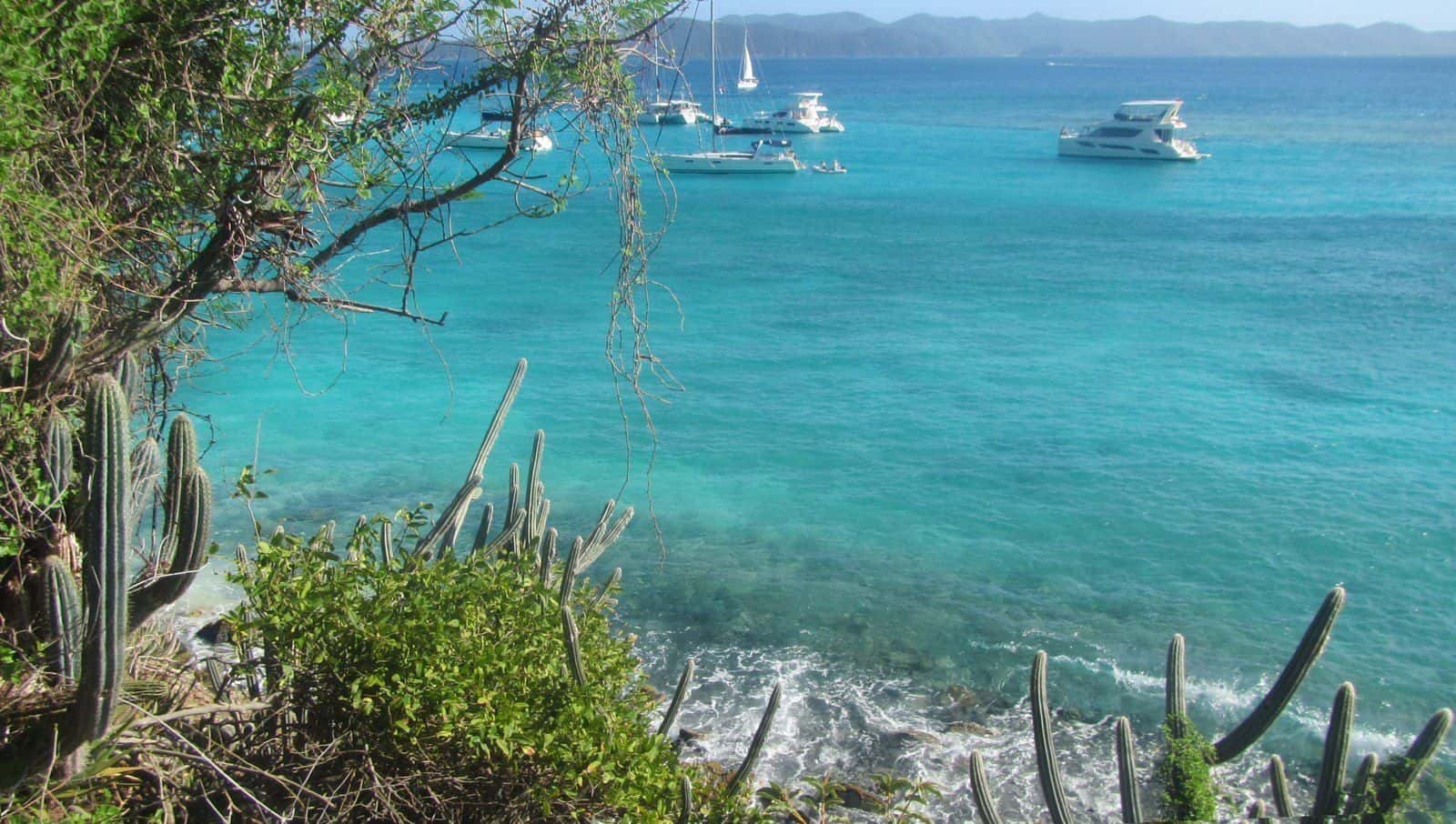 Turquoise water and anchored boats off White Bay, Jost Van Dyke, seen past cactus