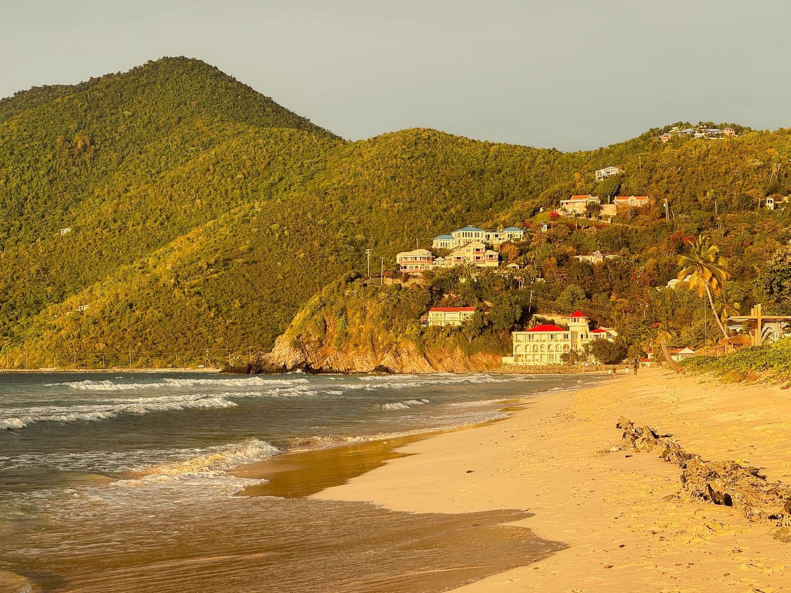 Golden sand and green hills on a Tortola beach in late light