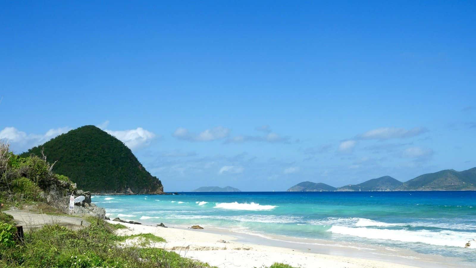 A calm Tortola beach with trees at the water's edge