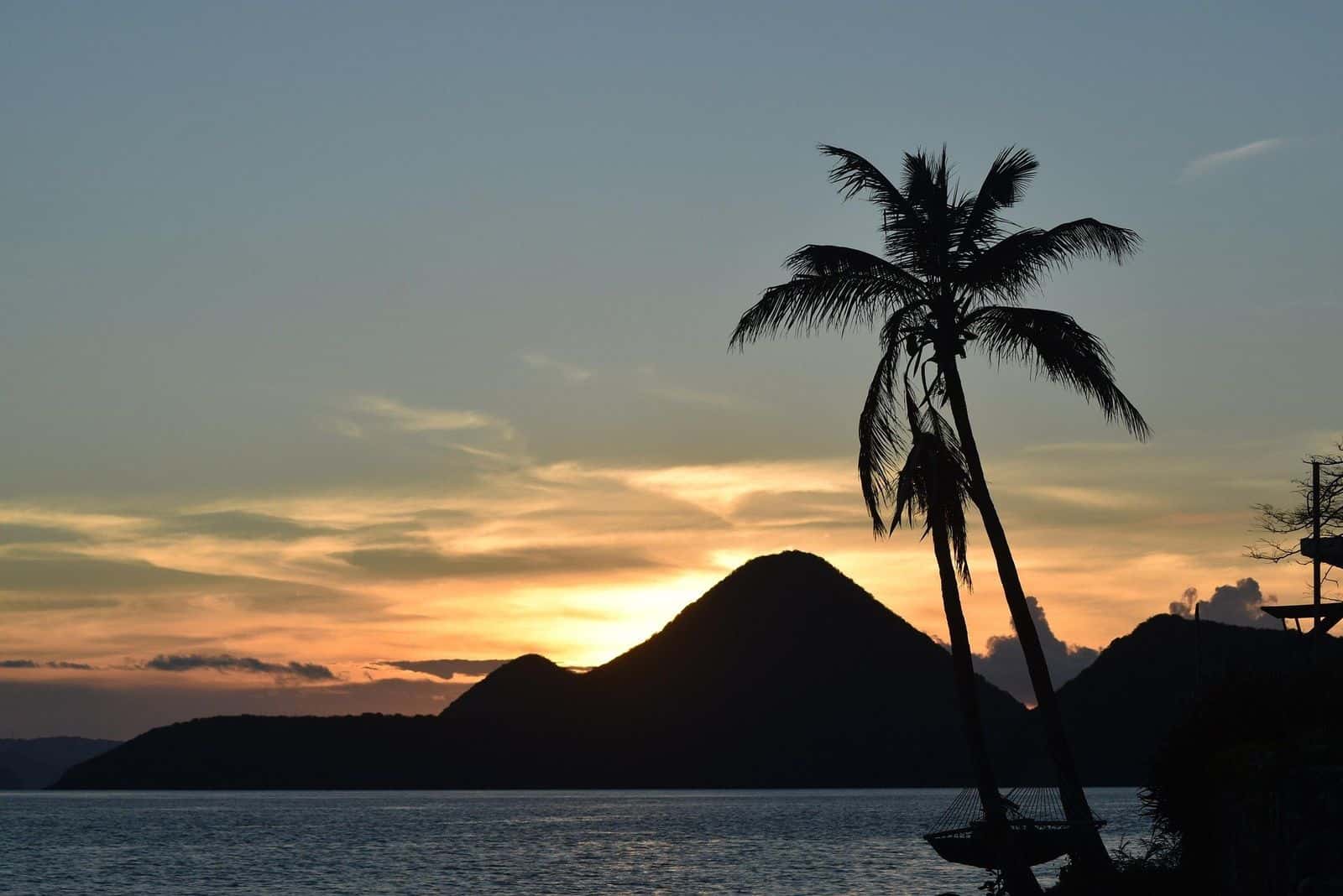 Sunset over Tortola: a palm and dark island peaks against an orange sky, calm sea below