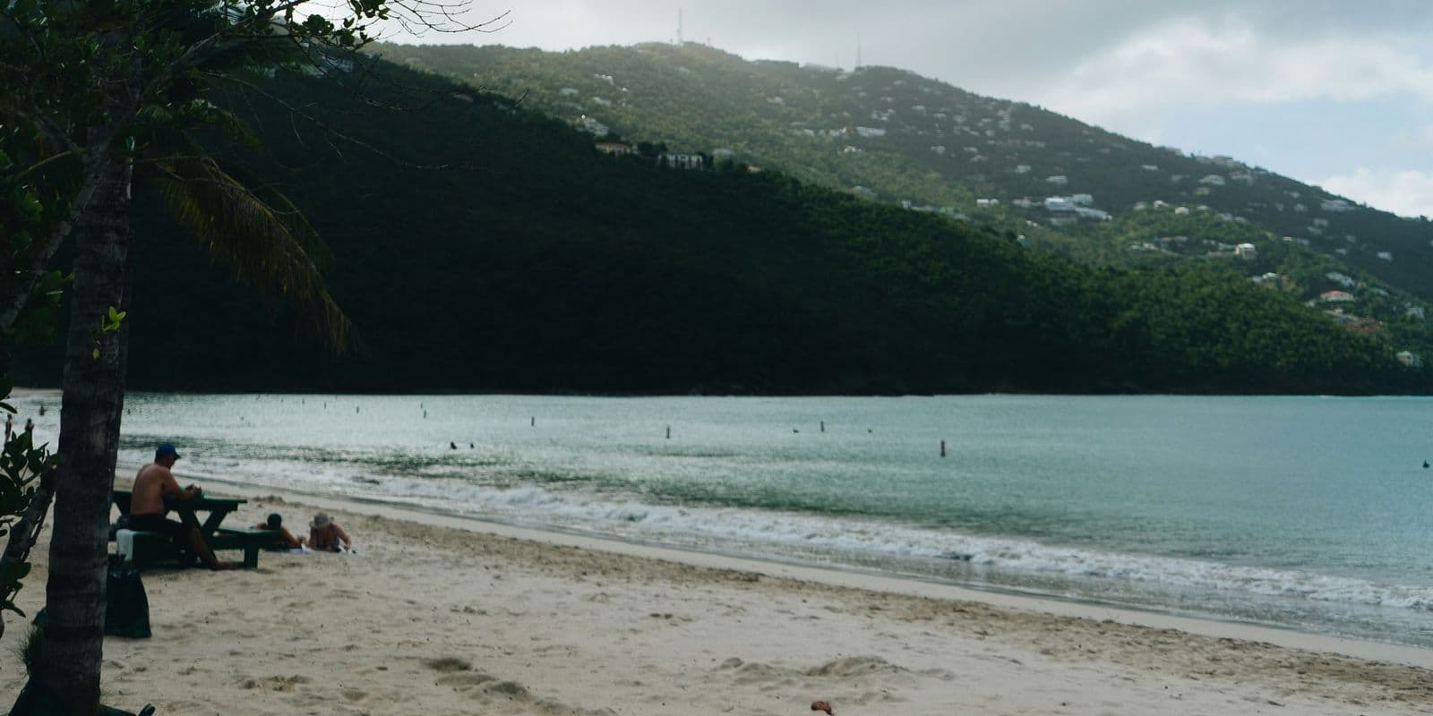 A palm trunk on a sandy beach with calm water and a green hillside behind, U.S. Virgin Islands.