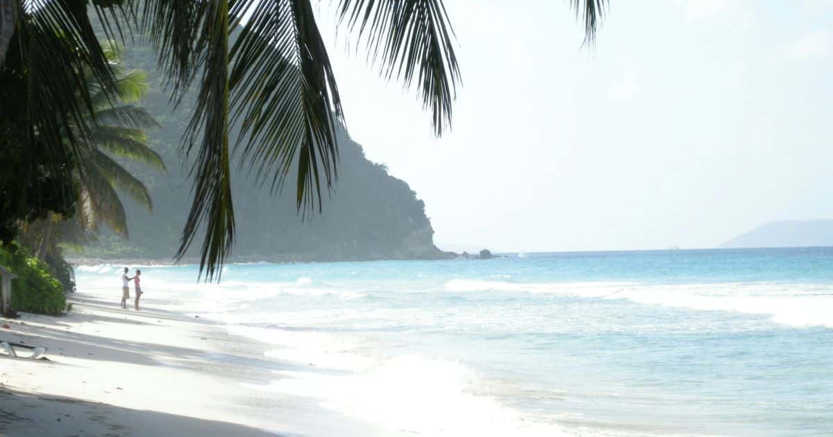 Long Bay, Tortola: a leaning palm over white sand and small surf, a steep headland beyond.