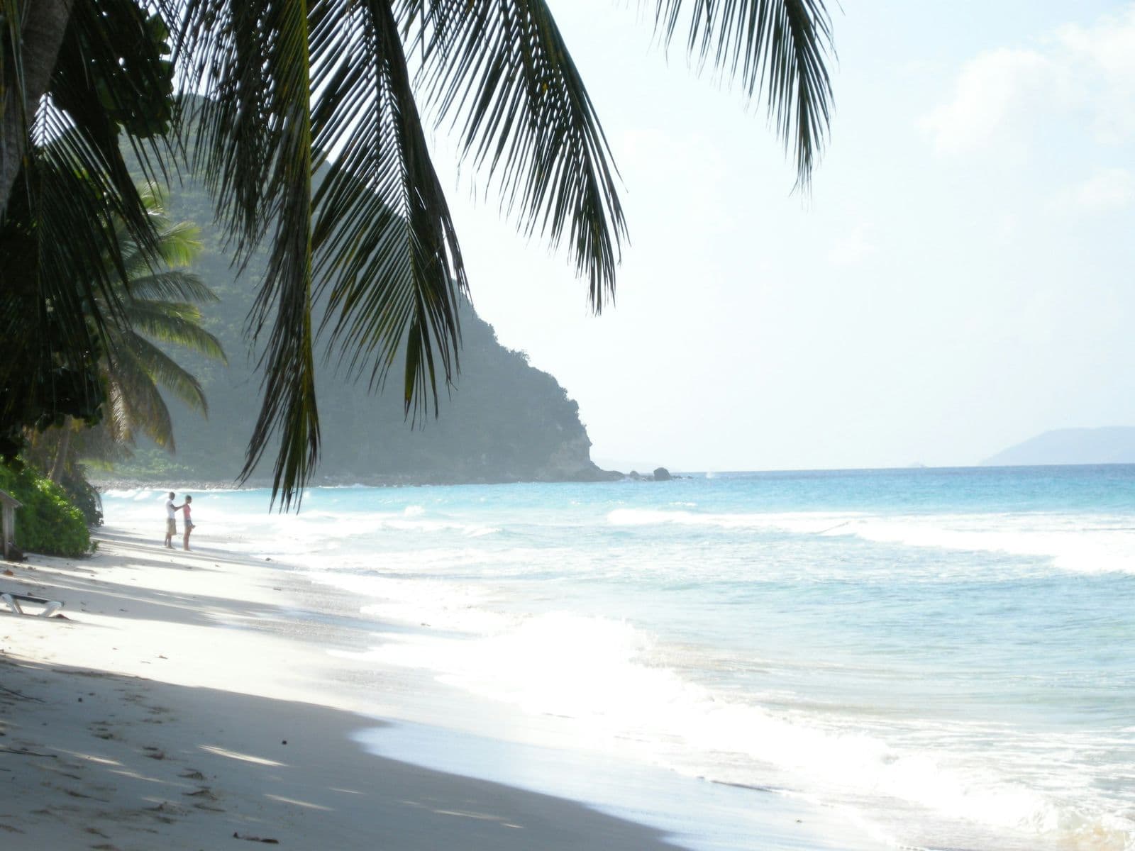 Long Bay, Tortola: a leaning palm over white sand and small surf, a steep headland beyond.