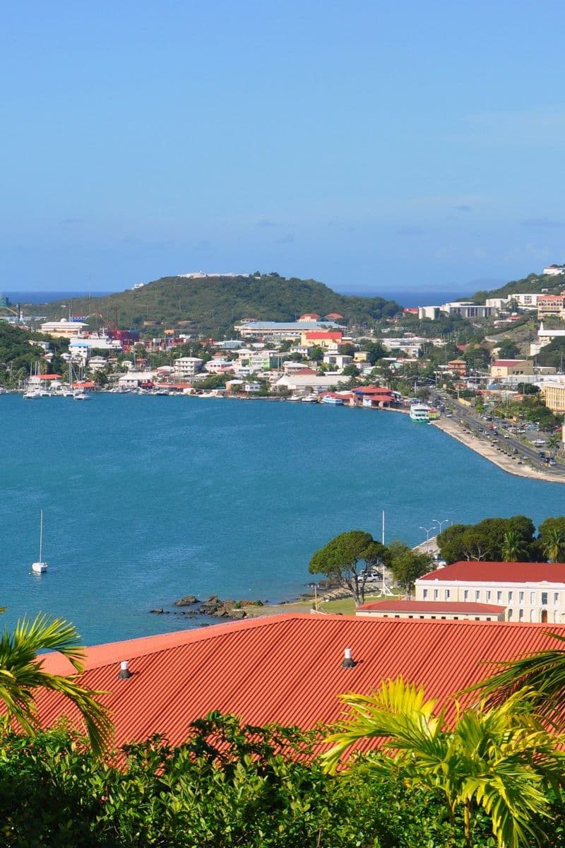 Charlotte Amalie harbor, St. Thomas, framed by palms and a red roof, boats at anchor below the town
