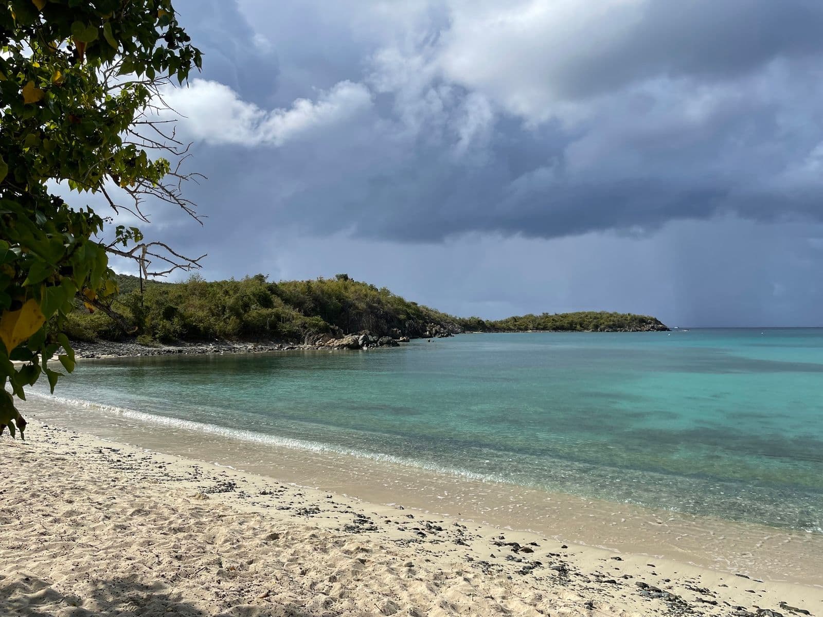 Little Lameshur Bay from the sand, looking along the low scrub of Yawzi Point under a rain sky.