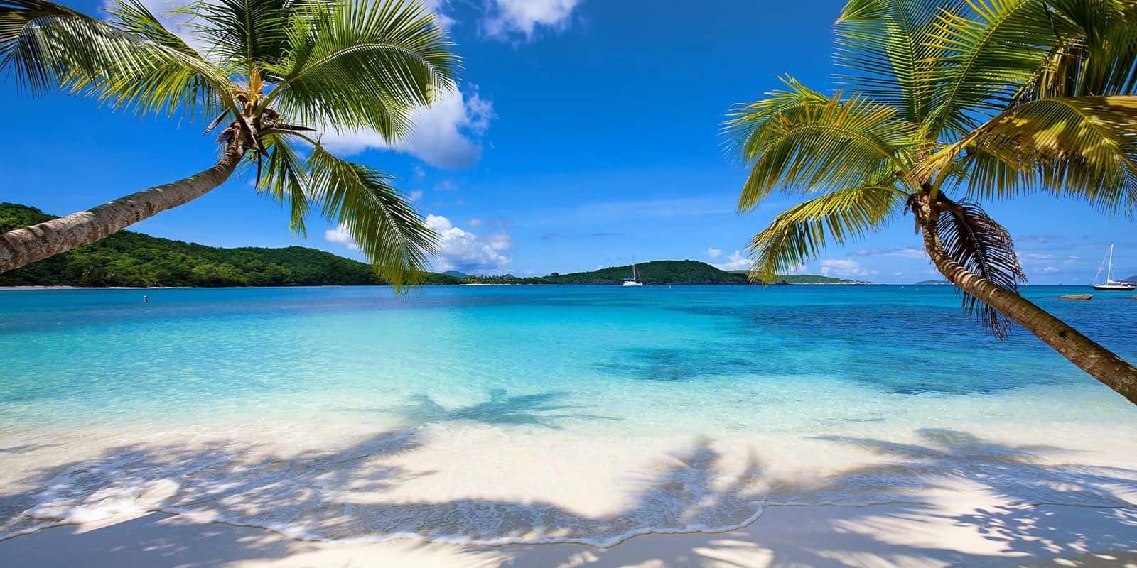 Oppenheimer Beach, St. John: two leaning palms and their shadows on white sand, boats in the bay.