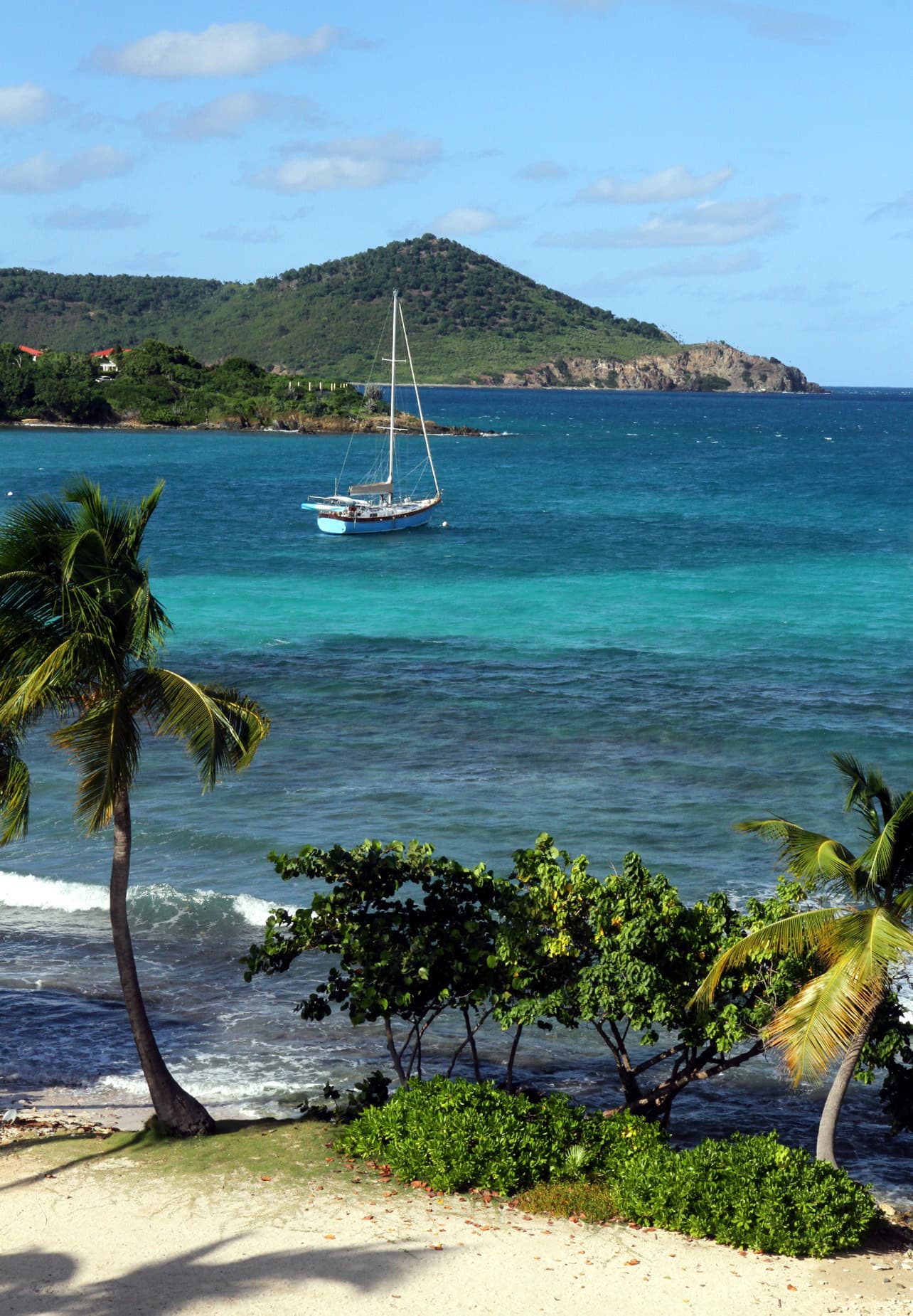 Sapphire Beach, St. Thomas, from above the sand: palms and sea grape, shallow water over reef and a moored sailboat.