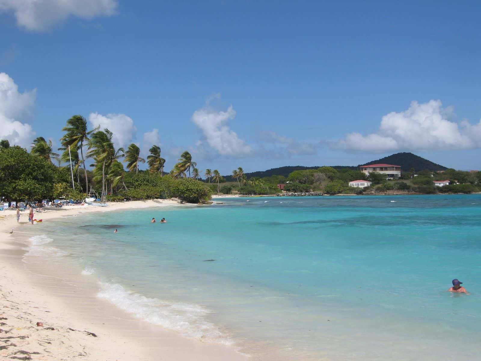 The curve of Sapphire Beach, St. Thomas, with palms and sea grape along the sand and swimmers in shallow water.