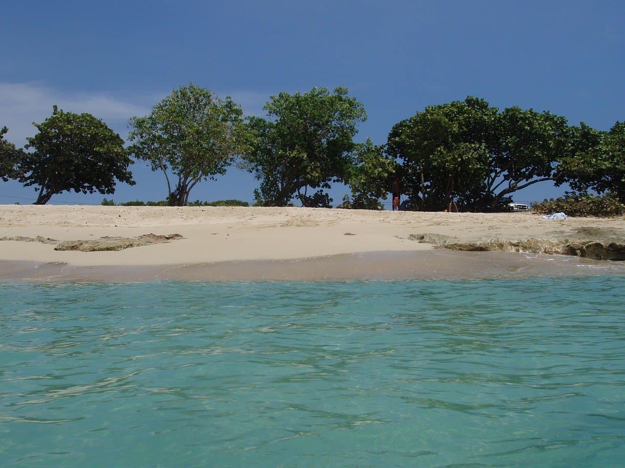 A quiet sandy beach and turquoise water on St. Croix, sea grape trees behind
