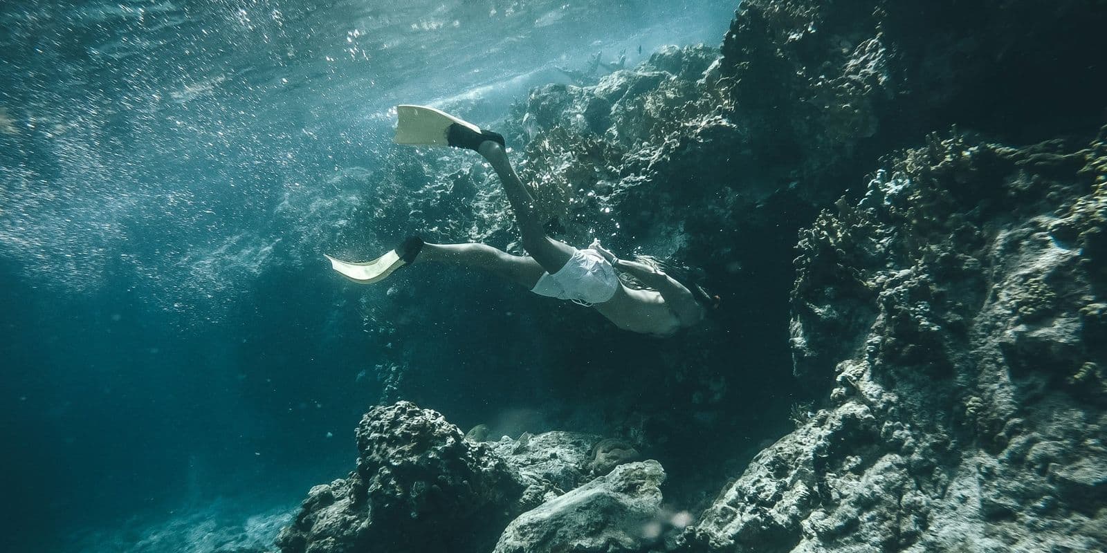 A freediver in fins swimming along an underwater rock wall, light coming through the surface, U.S. Virgin Islands.